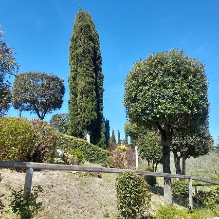 Villetta Dei Lecci Castelfiorentino Kültér fotó