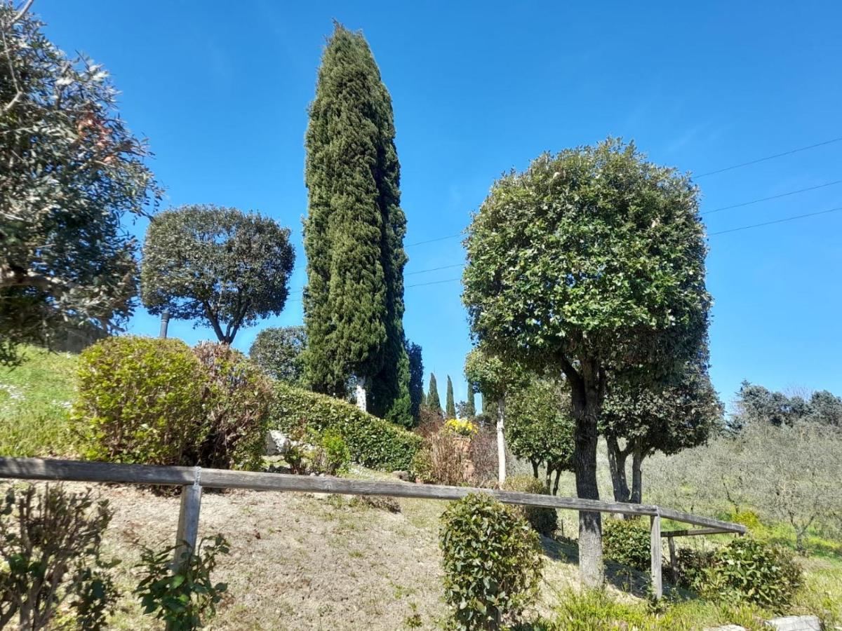 Villetta Dei Lecci Castelfiorentino Kültér fotó